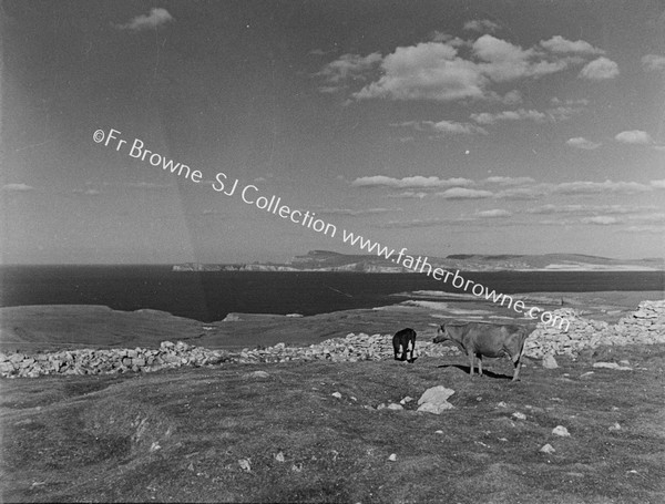 BENWEE HEAD FROM ERRIS HEAD